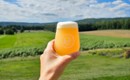 beer glass being held up towards a farm field