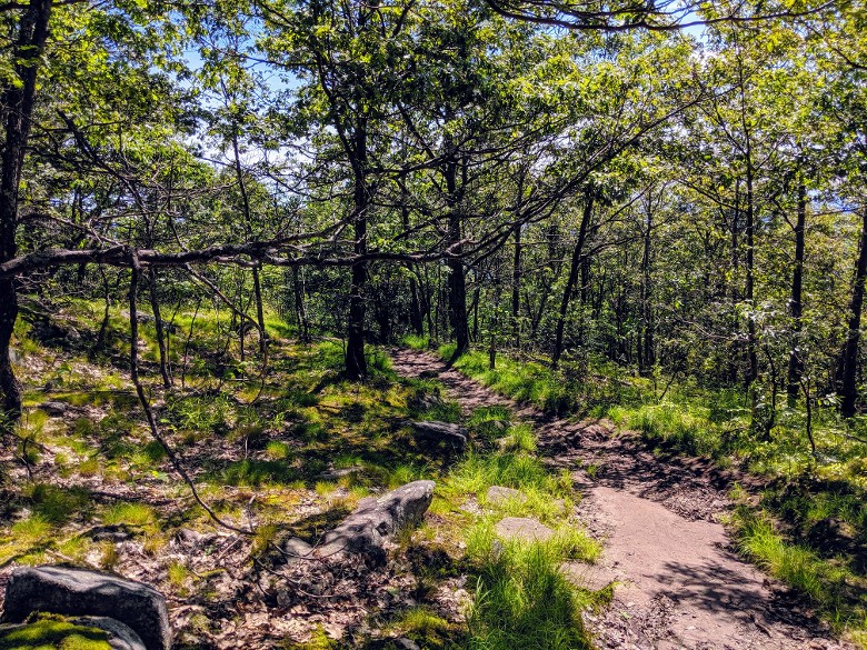 trail