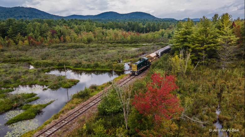 train going through the woods