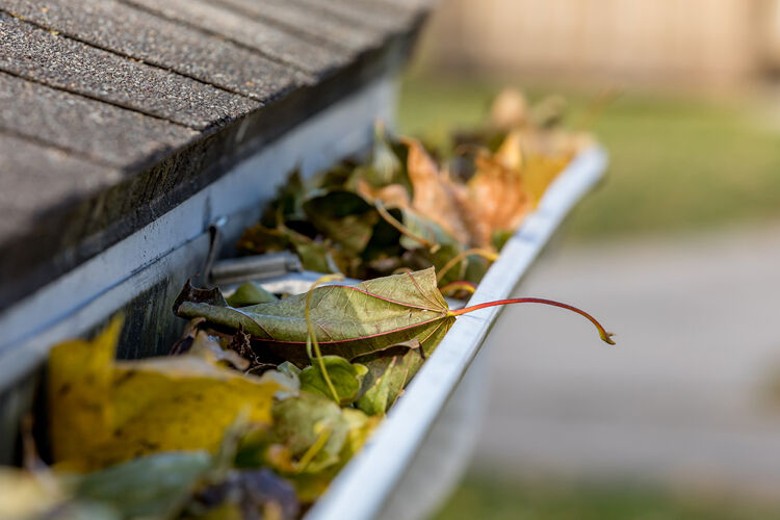Ready to get those gutters expertly taken care of? Visit their website and get a free quote today! leaves in a gutter