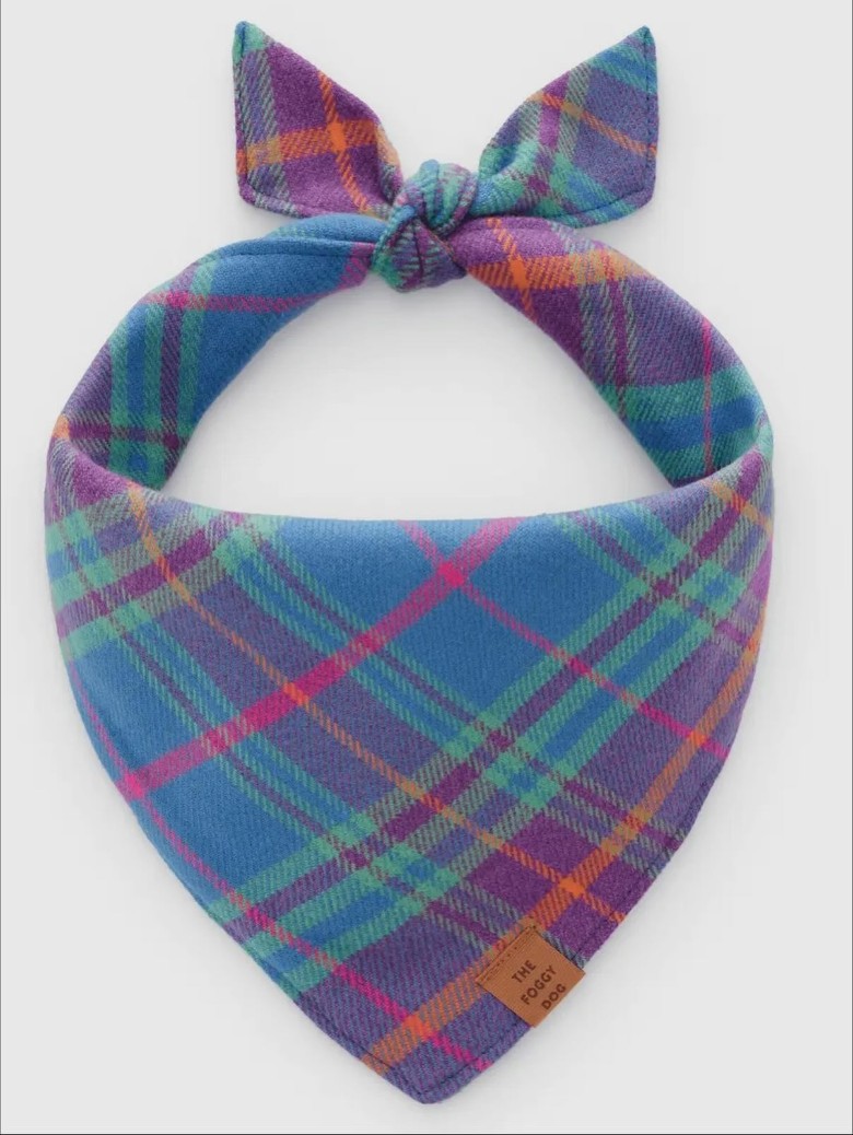 a blue and purple bandana for a dog