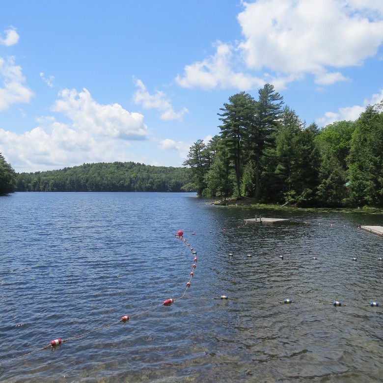 enclosed beach swimming area on a lake