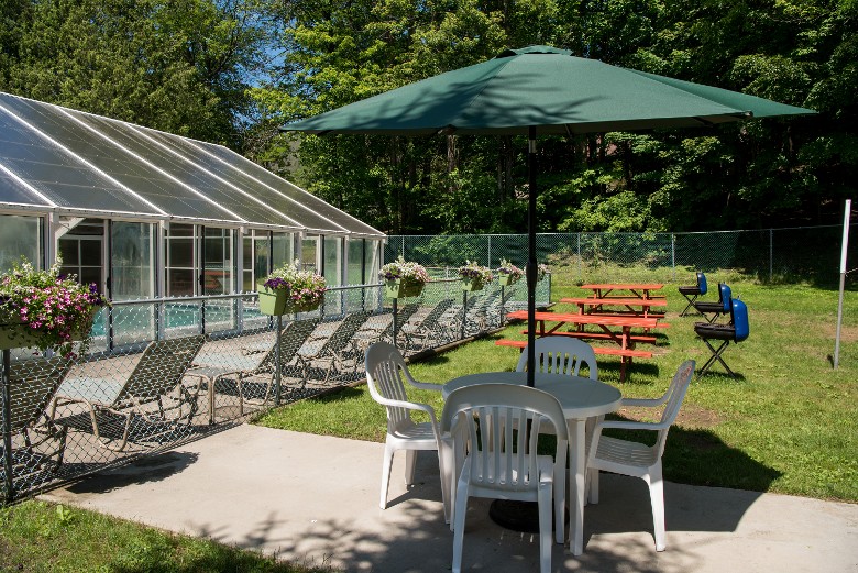 Picnic Table and Grills