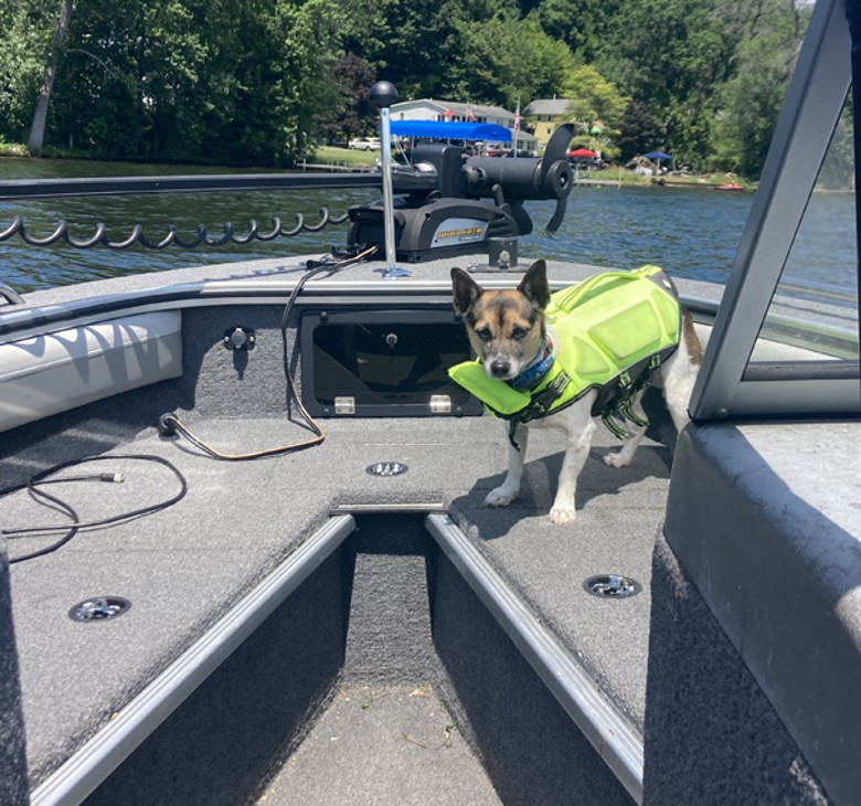 a dog standing on a fishing boat