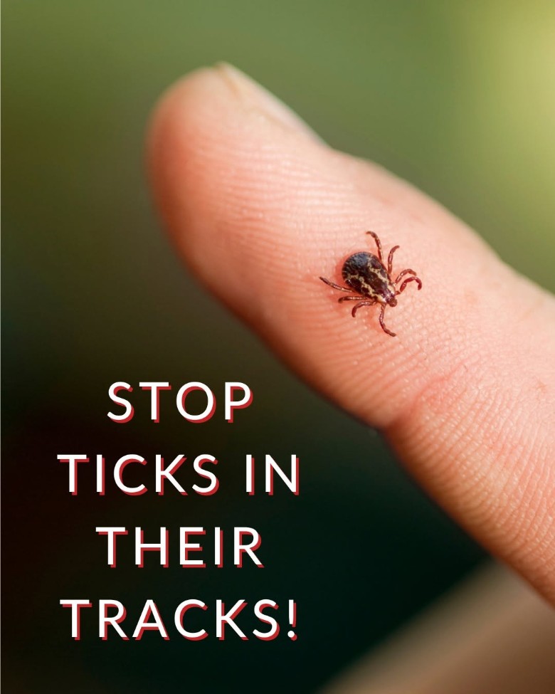 tick on a finger
