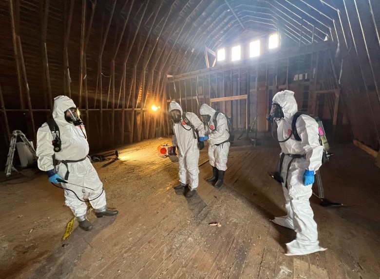 team of technicians in an attic