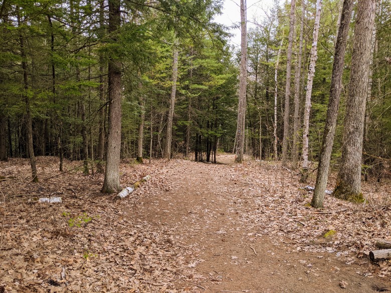 trail