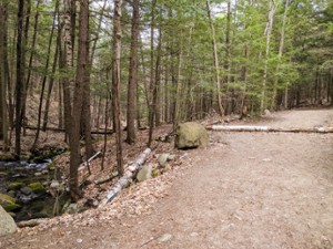 trail