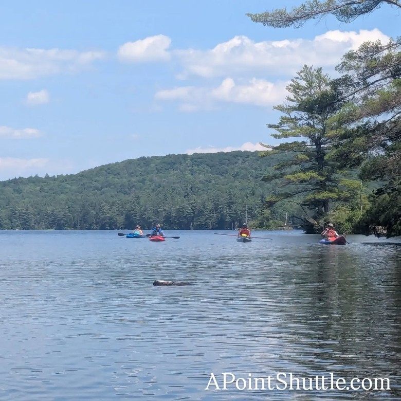 kayaks out on the water