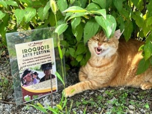 43rd Annual Iroquois Arts Festival