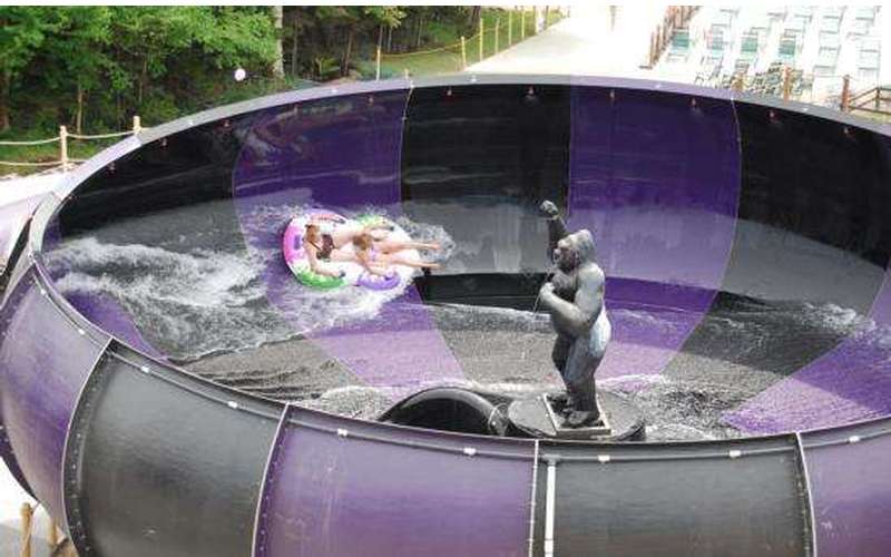 Enchanted Water Safari I Adirondack State Park, Old NY I New York