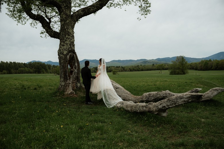 wedding couple at tree