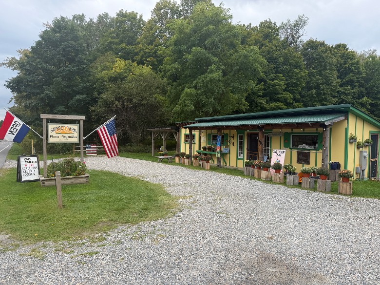 Sunset Farms - Flower Farm (2)