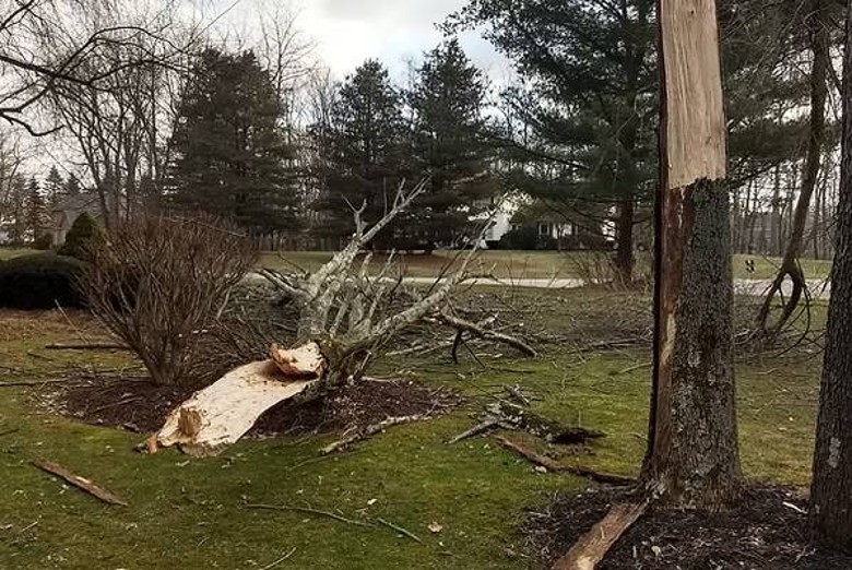 If there's a storm, they're on it, ready to deal with fallen trees, a heating failure, a power outage, a frozen pipe, or whatever may come up while you're gone. storm damage with trees down