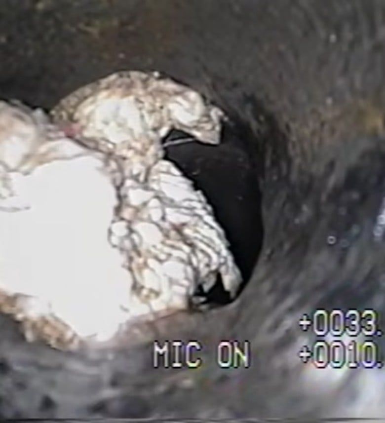 camera view of a clogged septic