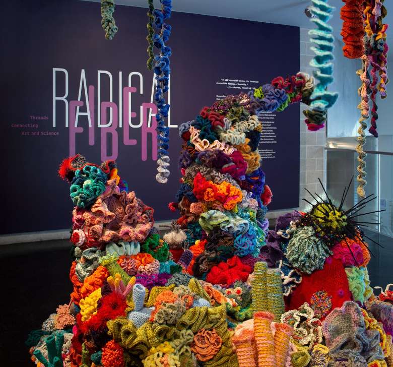 Installation view, "Radical Fiber: Threads Connecting Art and Science," Tang Teaching Museum, 2022