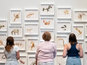 women looking at exhibition