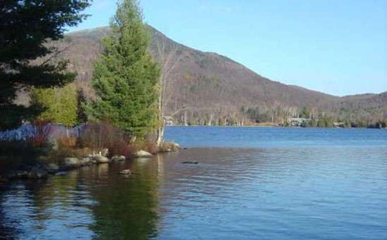 lake surrounded by mountains and trees