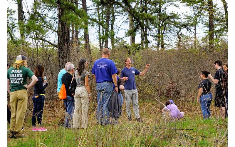 Albany Pine Bush Preserve A National Natural Landmark in Albany, NY