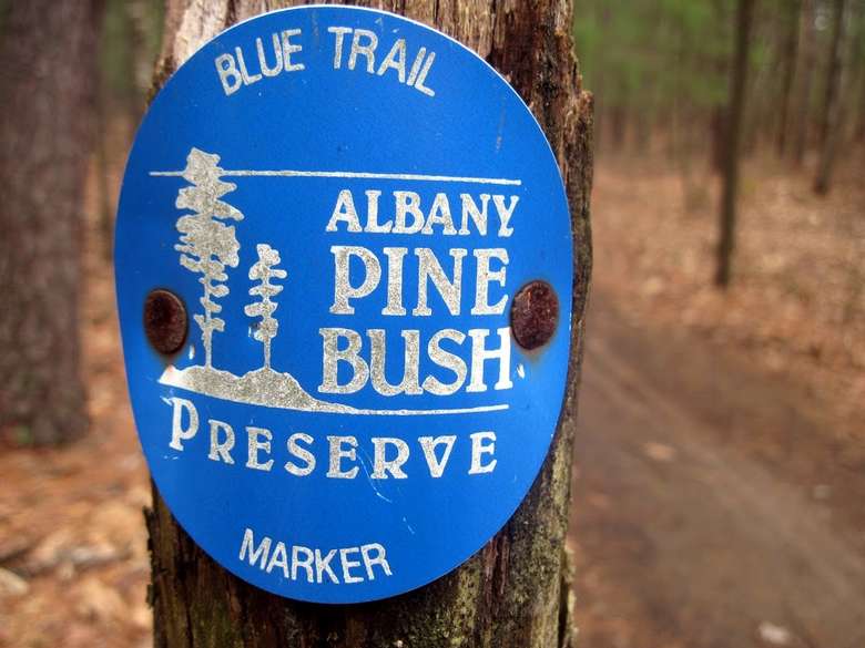 a blue trail marker on a post