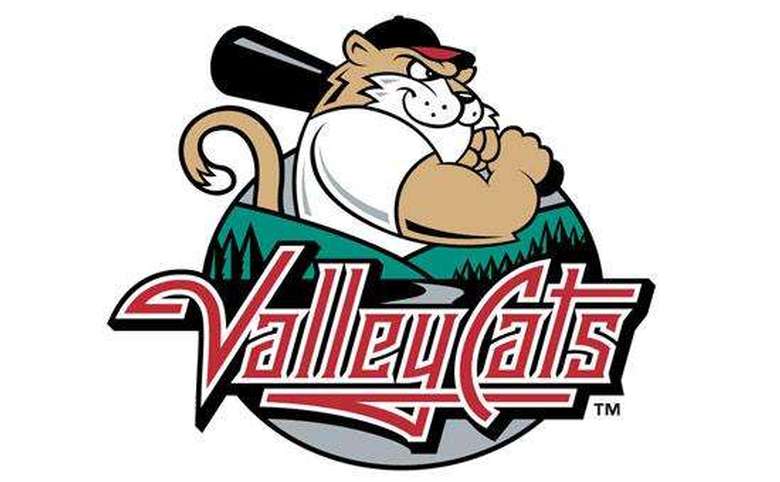 ValleyCats logo