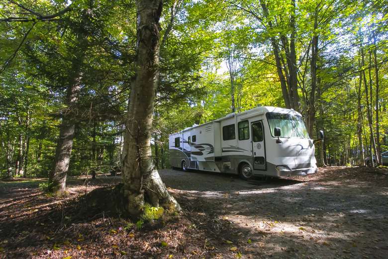 large RV with slideouts parked on spacious rv site