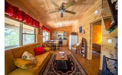 spacious cabin