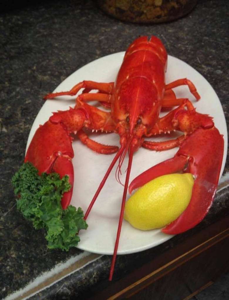 lobster on a plate