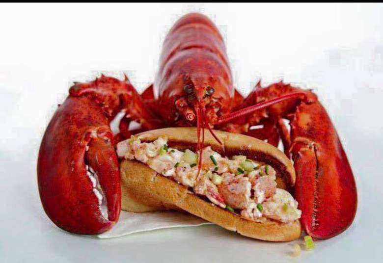 lobster and a lobster roll in front of it