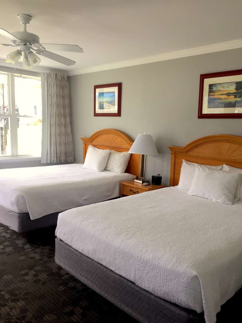 motel room with two white, twin beds