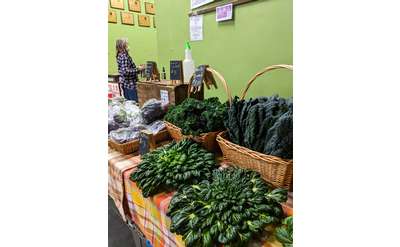 herbs and kale in bushels at a stand