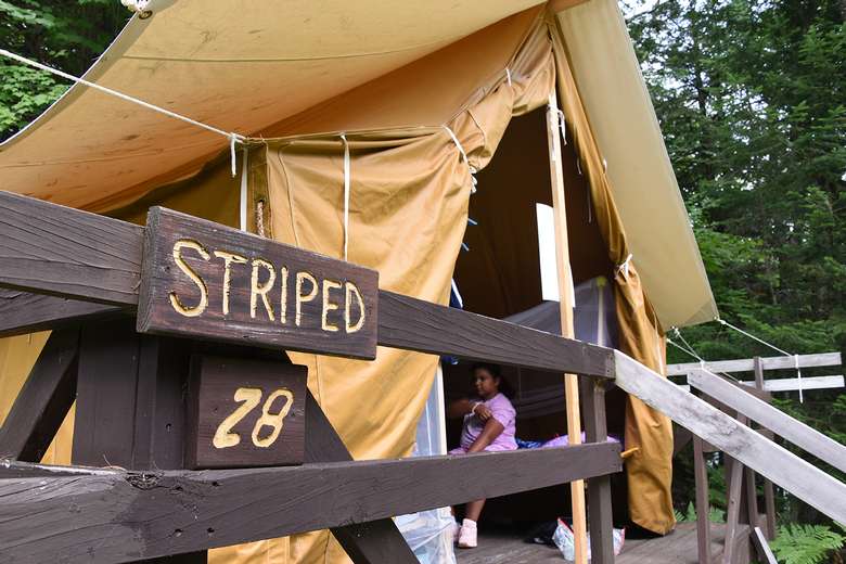 A wooden platform tent is shown with the front canvas flaps tied open and a camper inside. In the foreground a sign states the name and number of the tent which is Striped 28.