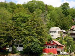 green trees on the waterfront by some large cabins