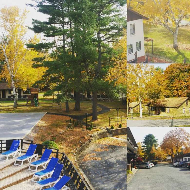 different fall foliage photos spliced together at a hotel