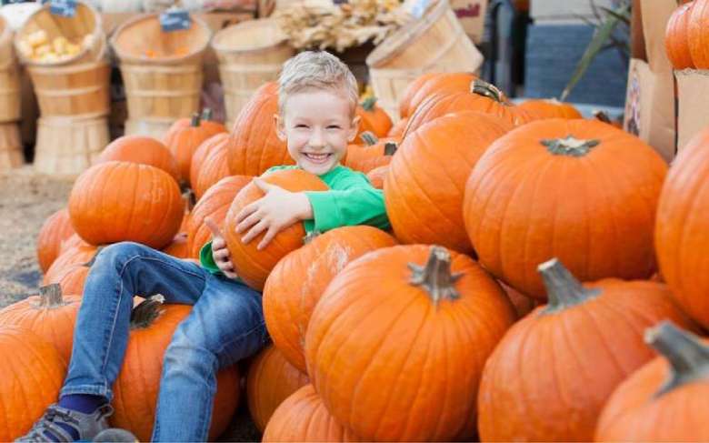 boy sitting on pumpkins