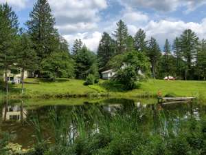 cabins by pond