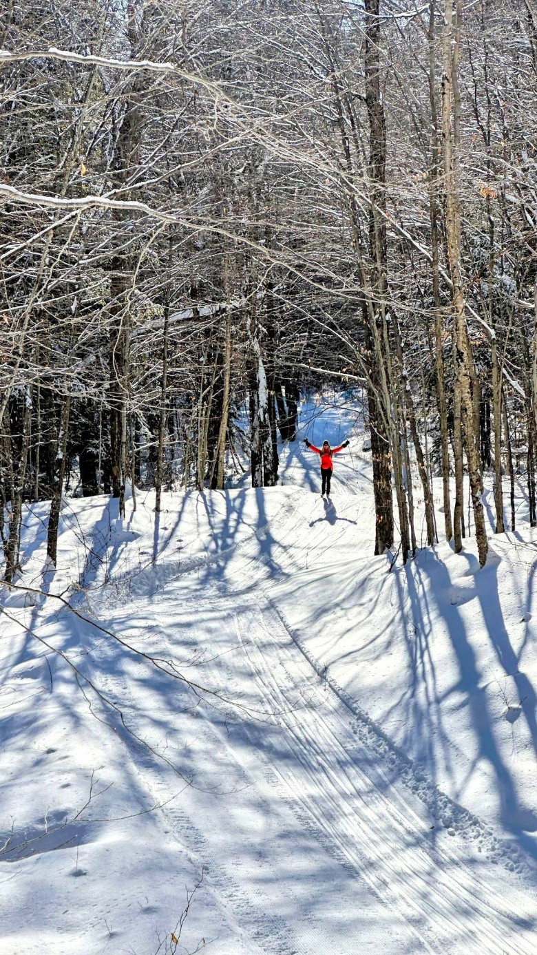 cross-country skier