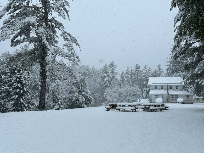 house and picnic tables in snow