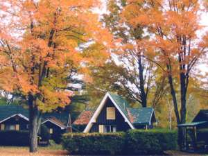 the outside of the motel in the fall