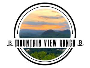 logo for mountain view ranch