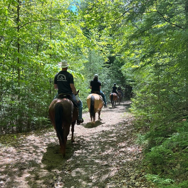 horseback riding in the woods