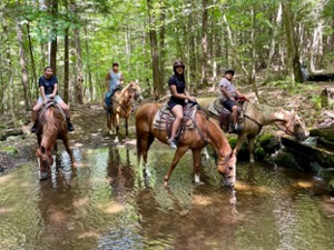 four people horseback riding