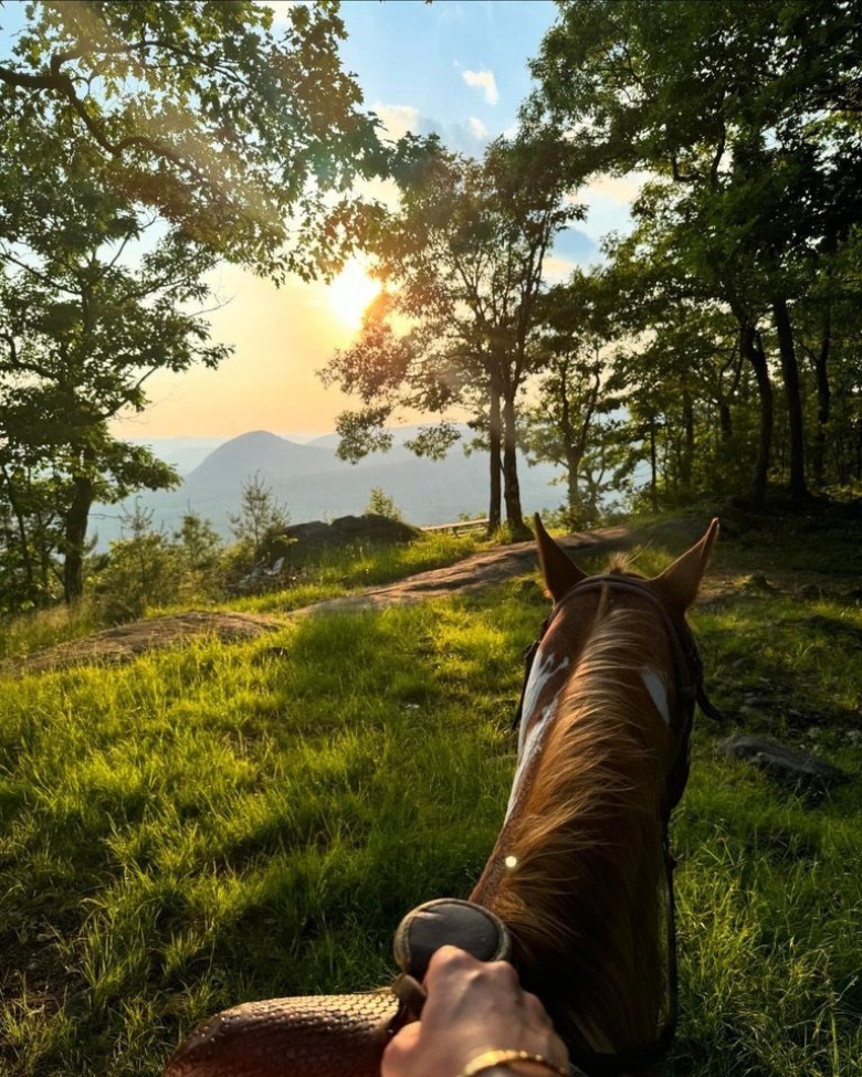 horseback riding to a summit with view