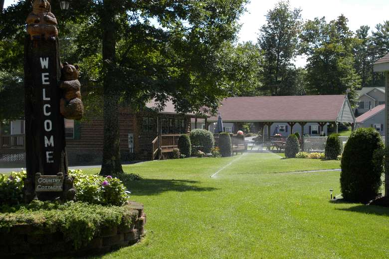 sprinklers in the lawn