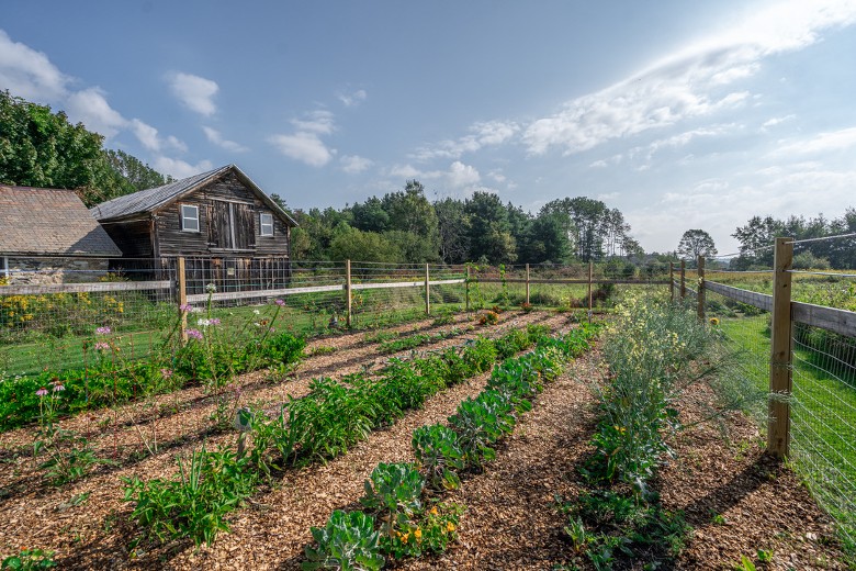 Our organic gardens provide a vibrant and nutritious farm to table breakfast