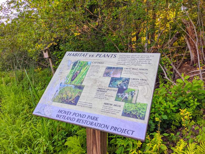 habitat for plants, wetland restoration project sign