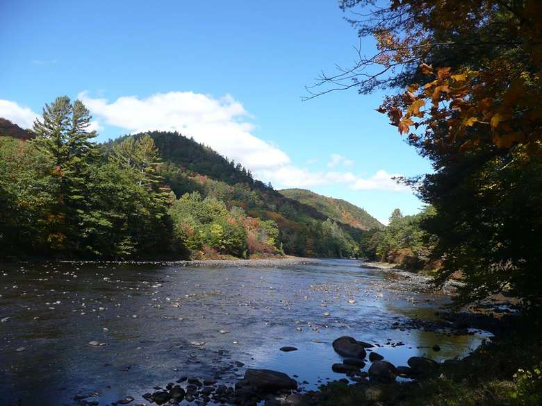 The Cabins in Hope: An Adirondack Bed & Breakfast Experience Near ...