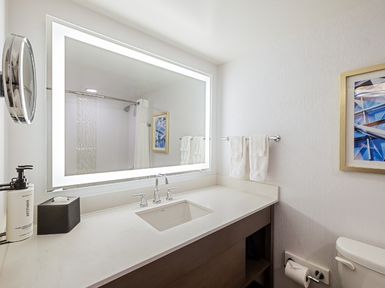 standard guest bathroom