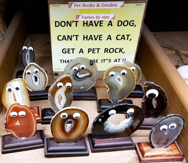 rocks with googly eyes