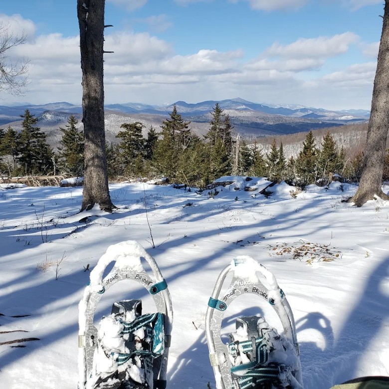 snowshoed feet